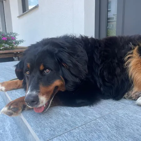 Appartamento Hirner *